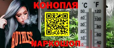 индика Краснокаменск