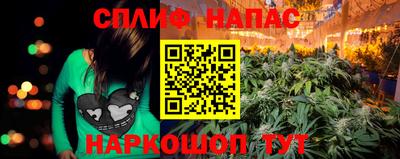 хмурый Краснознаменск