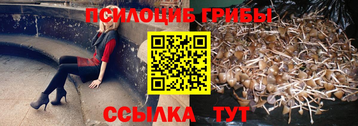 Камень-на-Оби  Галлюциногенные грибы мухоморы  Вход с VPN 